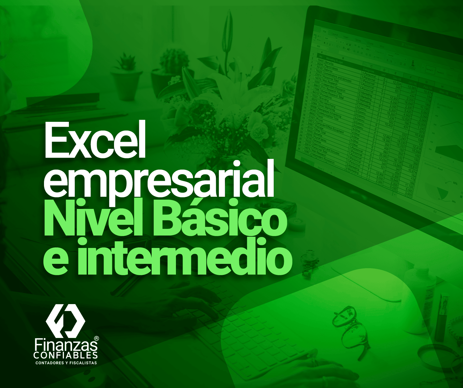 Excel Empresarial (Nivel básico e intermedio)